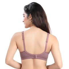 Rosy Brown
